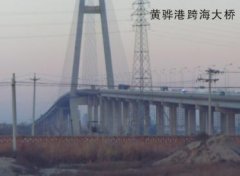 香蕉视频APP色版案例